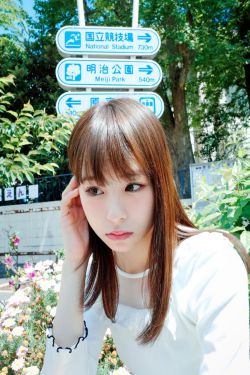 k9是什么意思