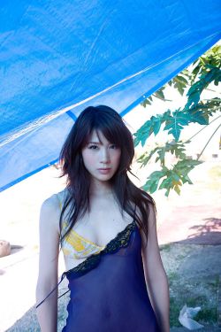 春生夏长秋收冬藏是什么意思