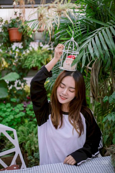 掌上飞花