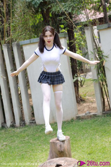 喜羊羊与灰太狼之羊村守护者9
