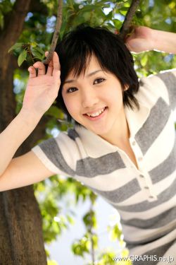 埃及猫舞蹈黄